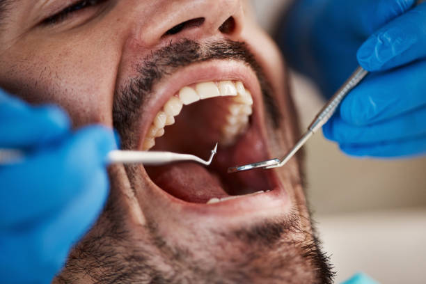 Best Dental Exams and Cleanings  in Flat Rock, MI